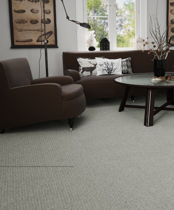 Pinpoint Carpet
