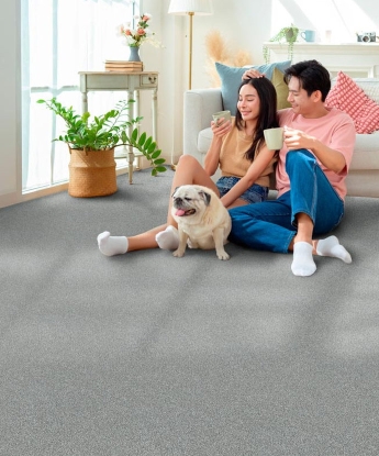 Exceptional Carpet