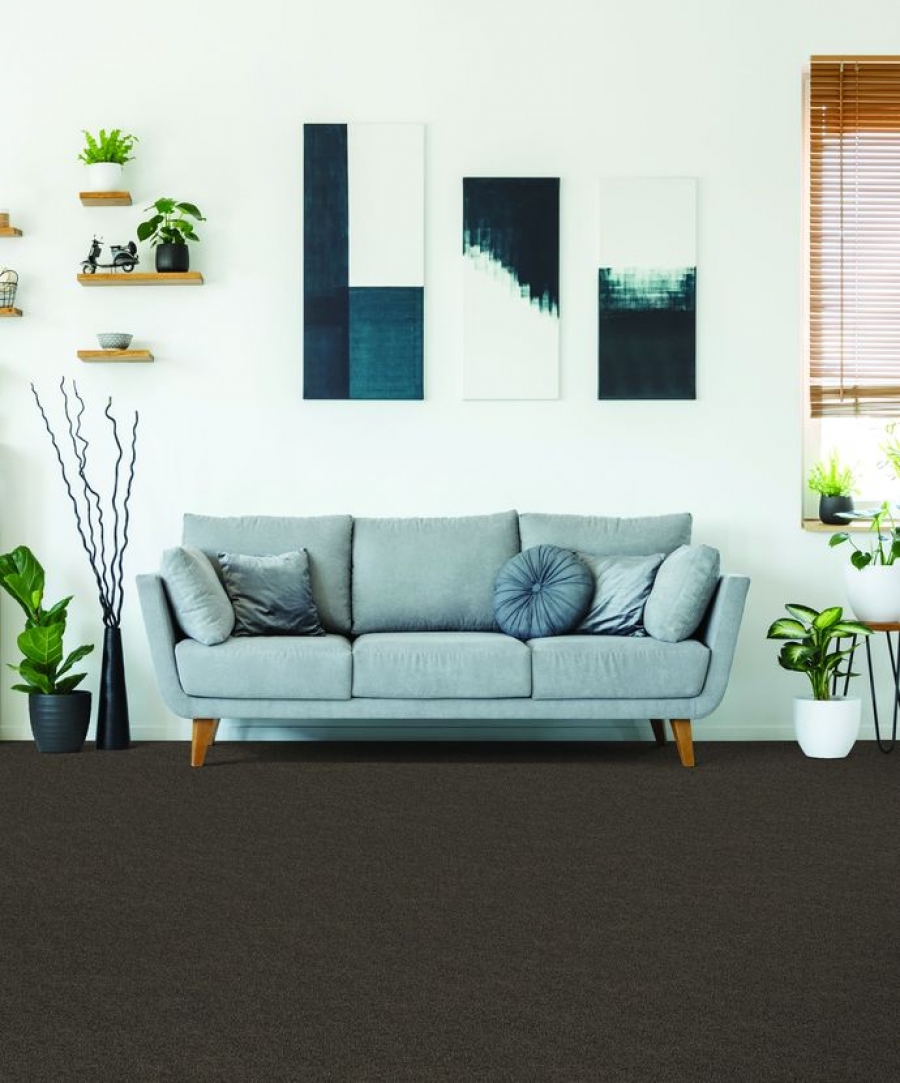 Abbey Road carpet special by Cottage Carpets Vancouver