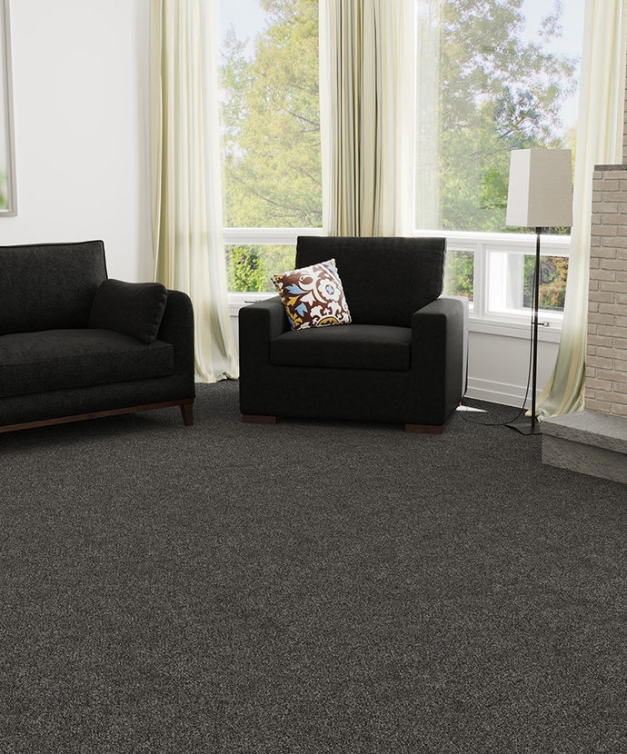 Malibu Carpet -- Now 25% Off