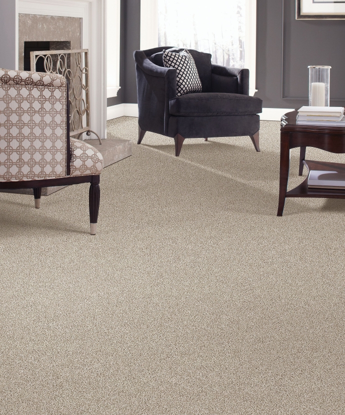 Perfect Attraction Carpet