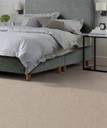 Cape Cod Carpet