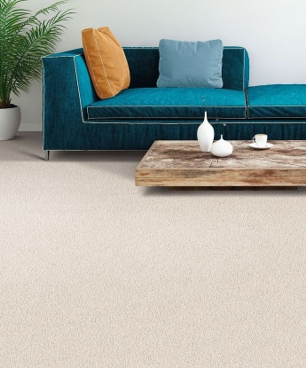 True North Carpet