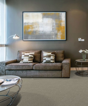 Splendid Glare carpet special