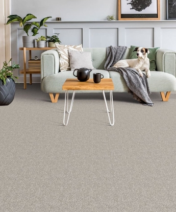 Interstellar Carpet