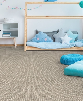 Photoshoot Carpet